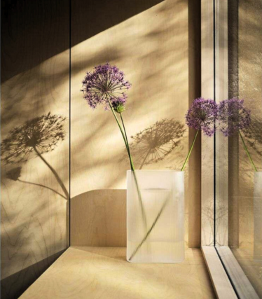 Minimalistische Muuto vaas met delicate allium bloemen, geplaatst in warm zonlicht met een poëtisch spel van schaduwen op de muur.