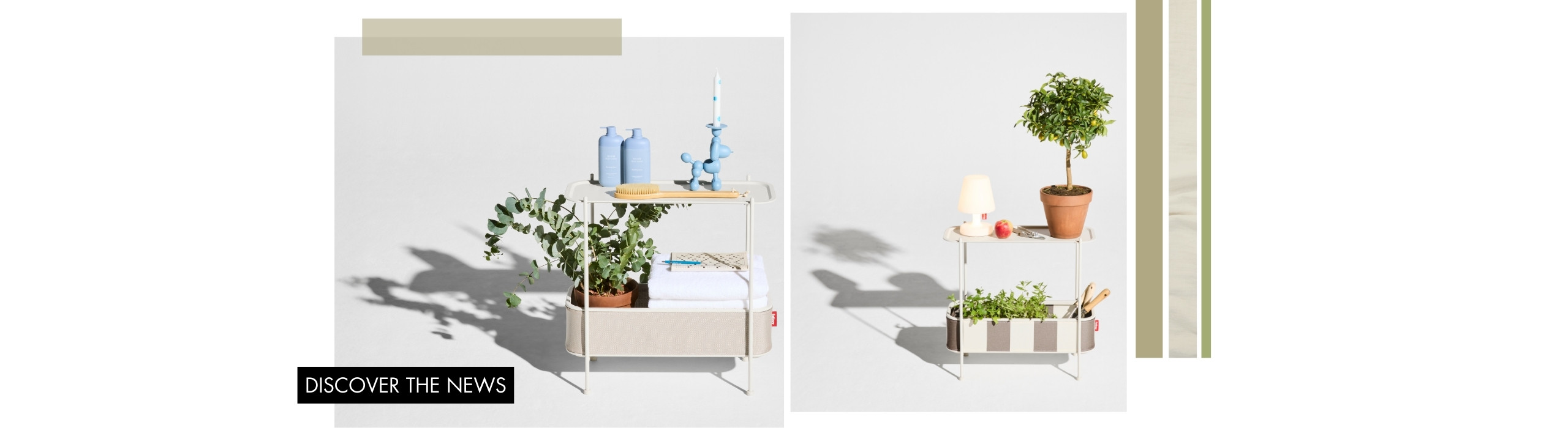 Flower in a pot placed on free standing shelf